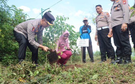 Ratusan Bibit Beringin Ditanam untuk Lindungi Mata Air