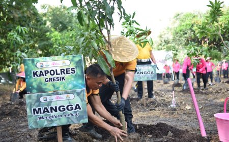 Lingkungan Hijau Jadi Fokus Aksi Polres Gresik dan Bhayangkari Polres Gresik Bersama Bhayangkari Lakukan Penghijauan Massal