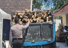 Truk Muatan Kayu Diamankan dalam Pengungkapan Illegal Logging