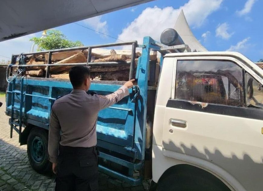 Polres Malang Bekuk Praktik Pembalakan Hutan