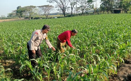 Polres Malang Kawal Pangan dari Produksi hingga Hasil Tani Dimanfaatkan Warga