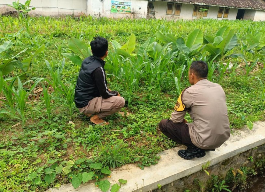 Dekat dengan Petani, Bhabinkamtibmas Polres Malang Kawal Ketahanan Pangan